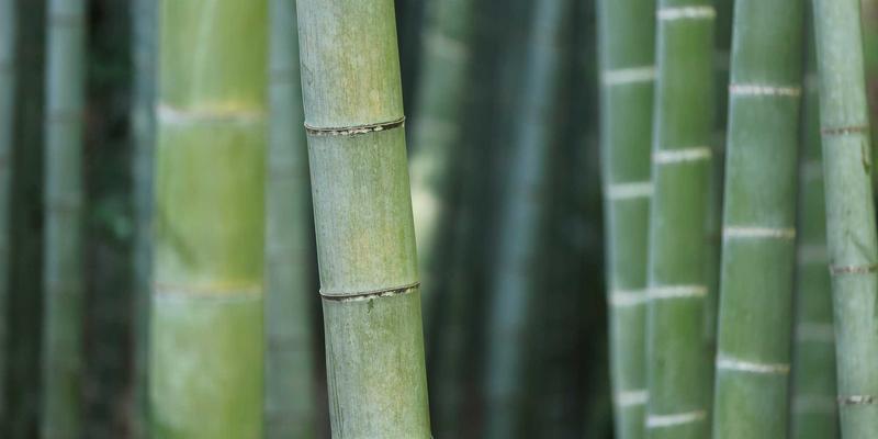 中医妇科入门：产后恢复与中医调理的智慧