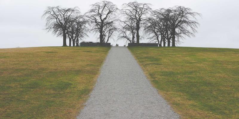 中医妇科智慧：从内调理守护女性健康，科学助力产后恢复