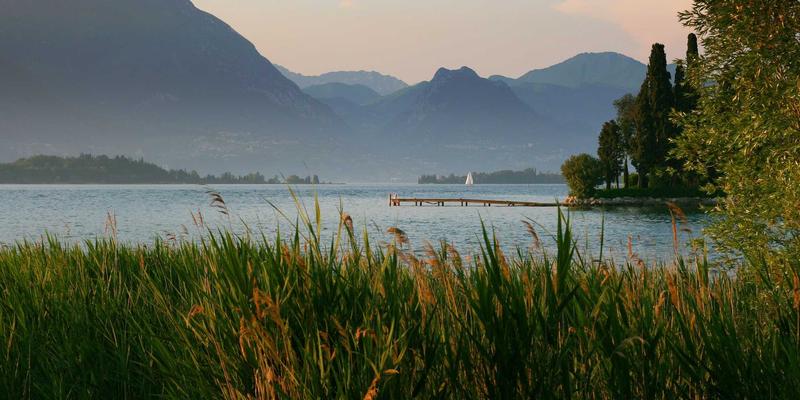 中医调理黄体功能不全：如何通过温肾助阳提升孕酮与着床率 | 妇科中医馆专业解析