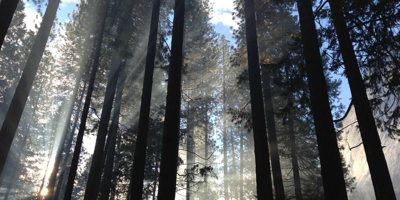 产后恢复遇难题？中医辨证多囊卵巢综合征，破解月经不调与女性健康困局