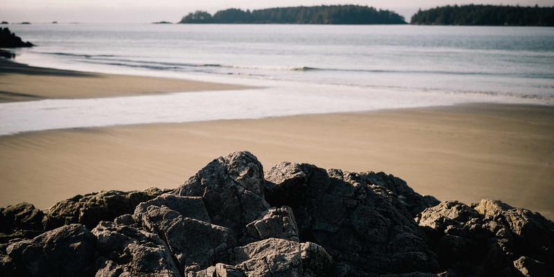 青春期功血的中医治疗：重在补肾调冲、固摄经血 | 产后恢复与中医调理新视角